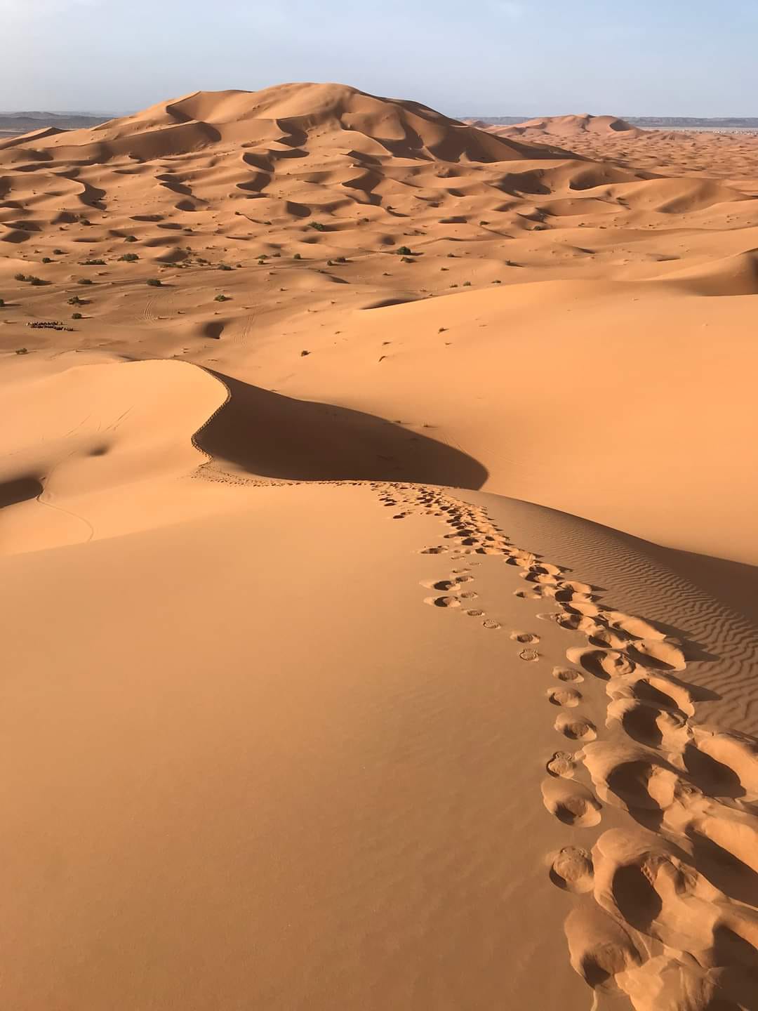 Discover the Magic of the Sahara: Morocco’s Ultimate Luxury Desert Experience